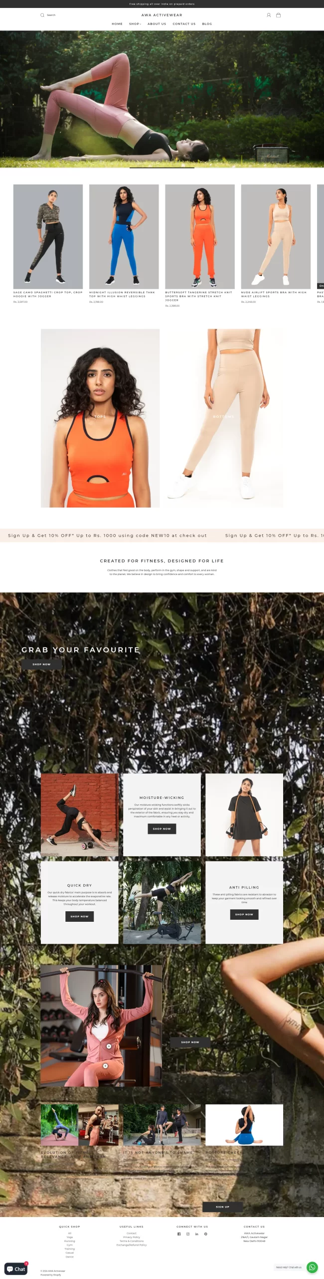 ecommerce store development